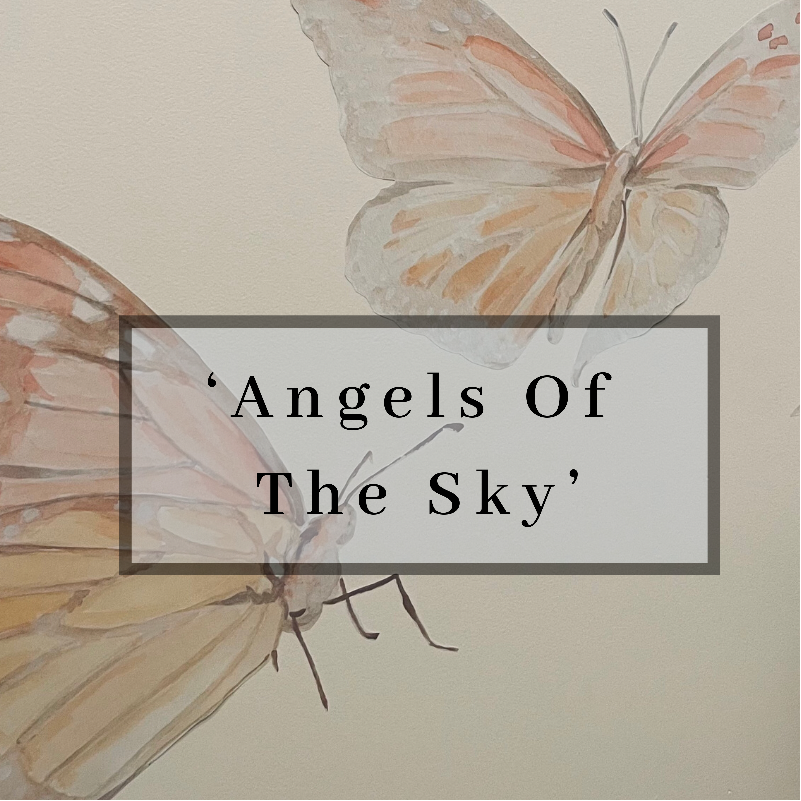 ‘Angles Of The Sky’ Four Butterflies